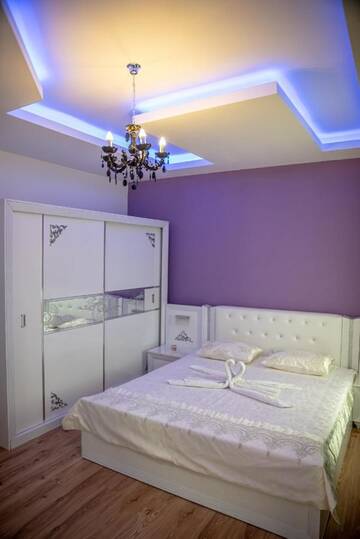 Фото номера Двухместный номер Делюкс с 1 кроватью Гостевой дом Casa Robi г. Peştişani 7