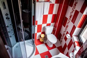 Фото номера Номер с кроватью размера «king-size» и балконом Гостевой дом Casa Robi г. Peştişani 3