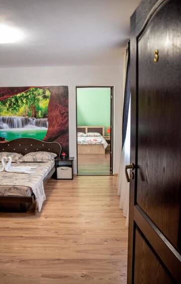 Фото номера Апартаменты с видом на горы Гостевой дом Casa Robi г. Peştişani 3